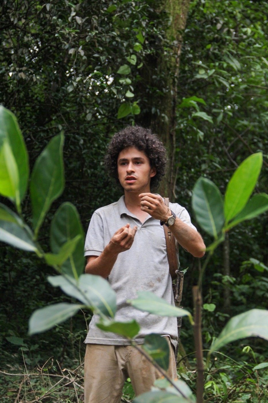 Juan Andrés León, facilitador en agricultura sintrópica, en el bosque.